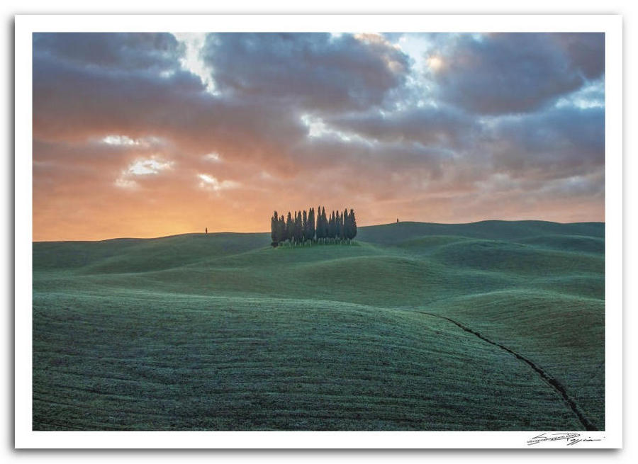 Fotografia artistica di Silvano Poggiani raffigurante il paesaggio della campagna toscana in Val D'Orcia, Siena. Paesaggio all’alba, con colline verdi ondulate e cielo drammatico con nuvole scure. Al centro un piccolo gruppo di cipressi alti e snelli. Il cielo presenta sfumature calde e fredde.