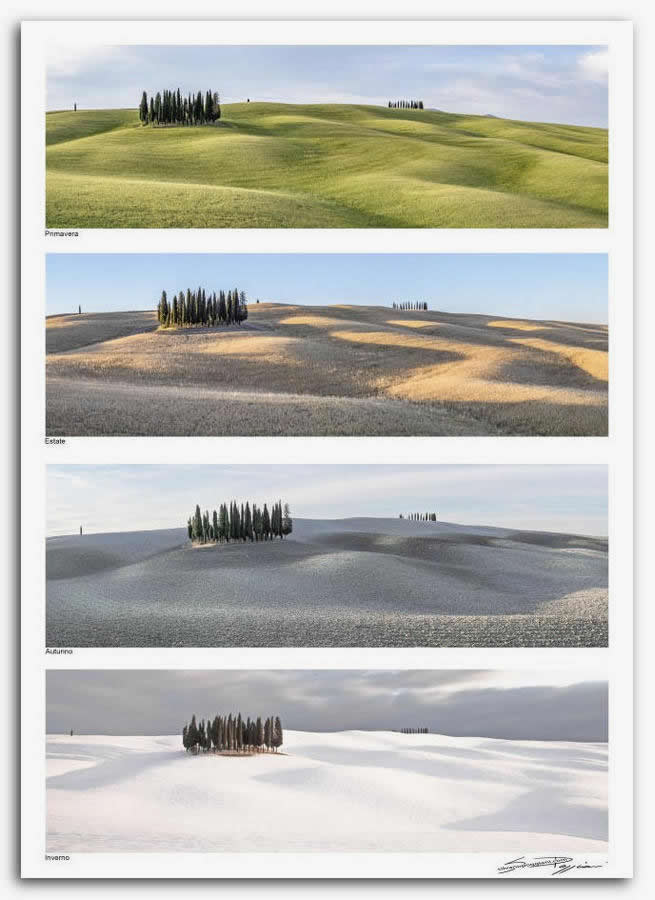 Fotografia artistica di Silvano Poggiani raffigurante il paesaggio della campagna toscana vicino San Quirico D'Orcia, Siena. Quattro fotografie di un paesaggio collinare con alberi, rappresentanti le quattro stagioni: Primavera, Estate, Autunno e Inverno.
