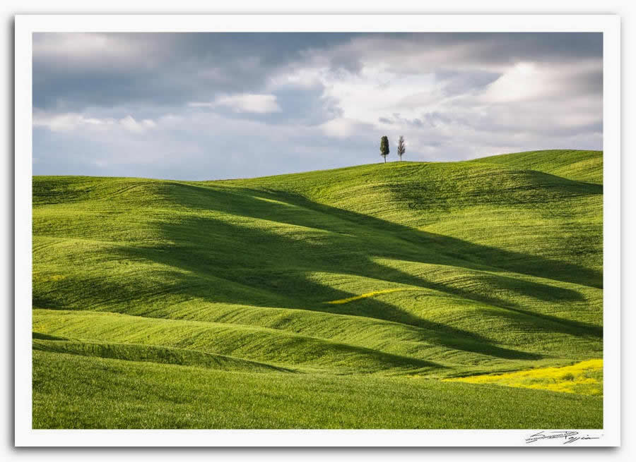 Fotografia artistica di Silvano Poggiani raffigurante il paesaggio della campagna toscana vicinoSan Quirico d'Orcia, Siena. Paesaggio collinare con dolci pendii verdi e due cipressi solitari all'orizzonte, sotto un cielo nuvoloso.
