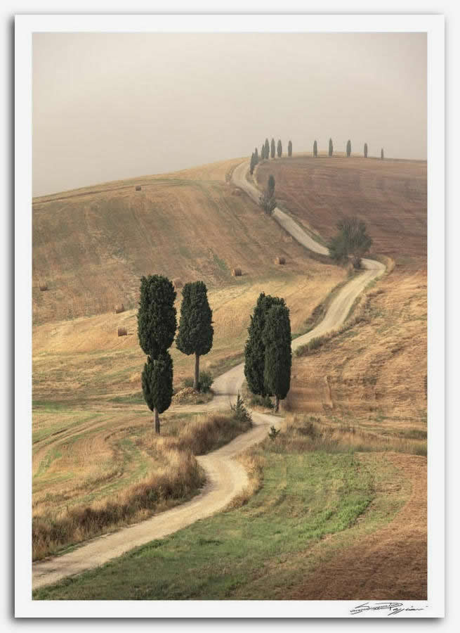 Fotografia artistica di Silvano Poggiani raffigurante il paesaggio della campagna toscana vicino Pienza, Siena. Strada sterrata serpeggiante con cipressi in collina.