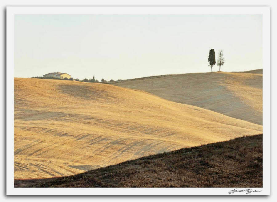 Fotografia artistica di Silvano Poggiani raffigurante il paesaggio della campagna toscana vicino San Quirico D'Orcia, Siena. Paesaggio collinare con campi di grano dorati, una casa colonica in lontananza e due cipressi isolati sulla collina.