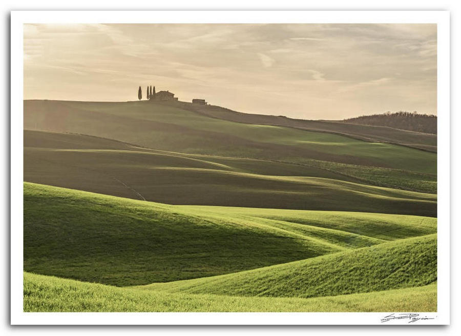 Fotografia artistica di Silvano Poggiani raffigurante il paesaggio della campagna toscana vicino Pienza, Siena. Paesaggio collinare con campi verdi ondulati, luce radente e una casa con cipressi in cima alla collina.