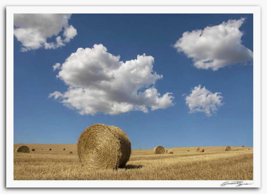 Fotografia artistica di Silvano Poggiani raffigurante il paesaggio della campagna toscana in Val D'Orcia, Siena. Balle di paglia rotonde in un campo di grano dorato sotto un cielo azzurro con nuvole bianche sparse.