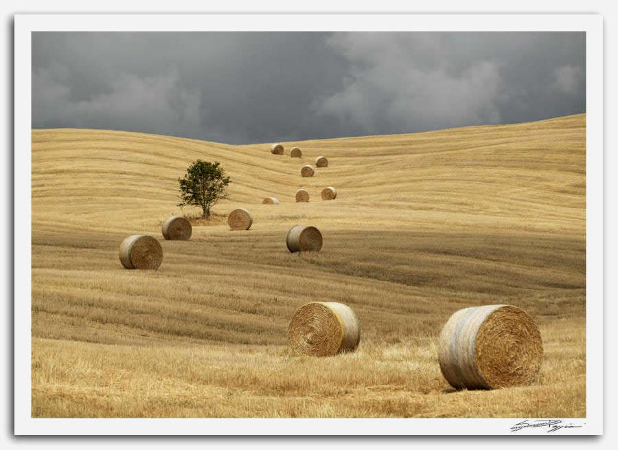 Fotografia artistica di Silvano Poggiani raffigurante il paesaggio della campagna toscana in Val D'Orcia, Siena. Paesaggio con campo di grano dopo la mietitura, rotoballe di paglia sparse sulla collina e un albero solitario sotto un cielo nuvoloso.