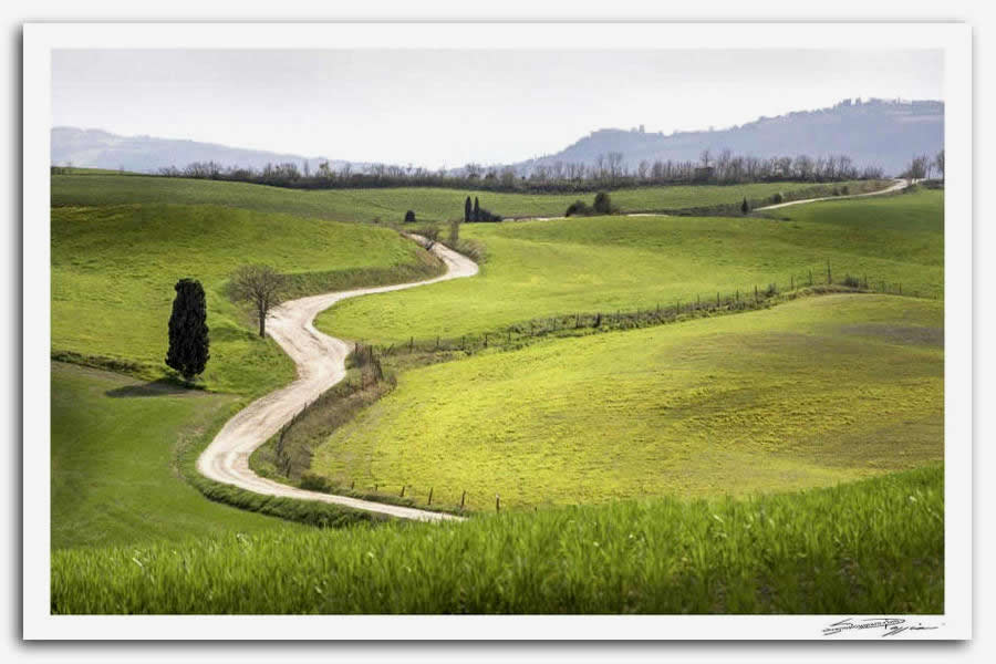 Fotografia artistica di Silvano Poggiani raffigurante il paesaggio toscano vicino Pienza con strada sterrata che serpeggia attraverso colline verdi con alberi sparsi e un cielo velato sullo sfondo.