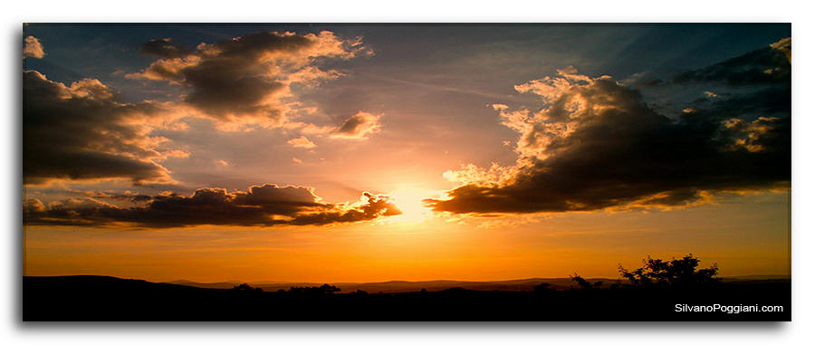 Opera pittorica di Silvano Poggiani raffigurante un tramonto con nuvole e luce dorata. Immagine ufficiale per la pagina contatti del pittore.